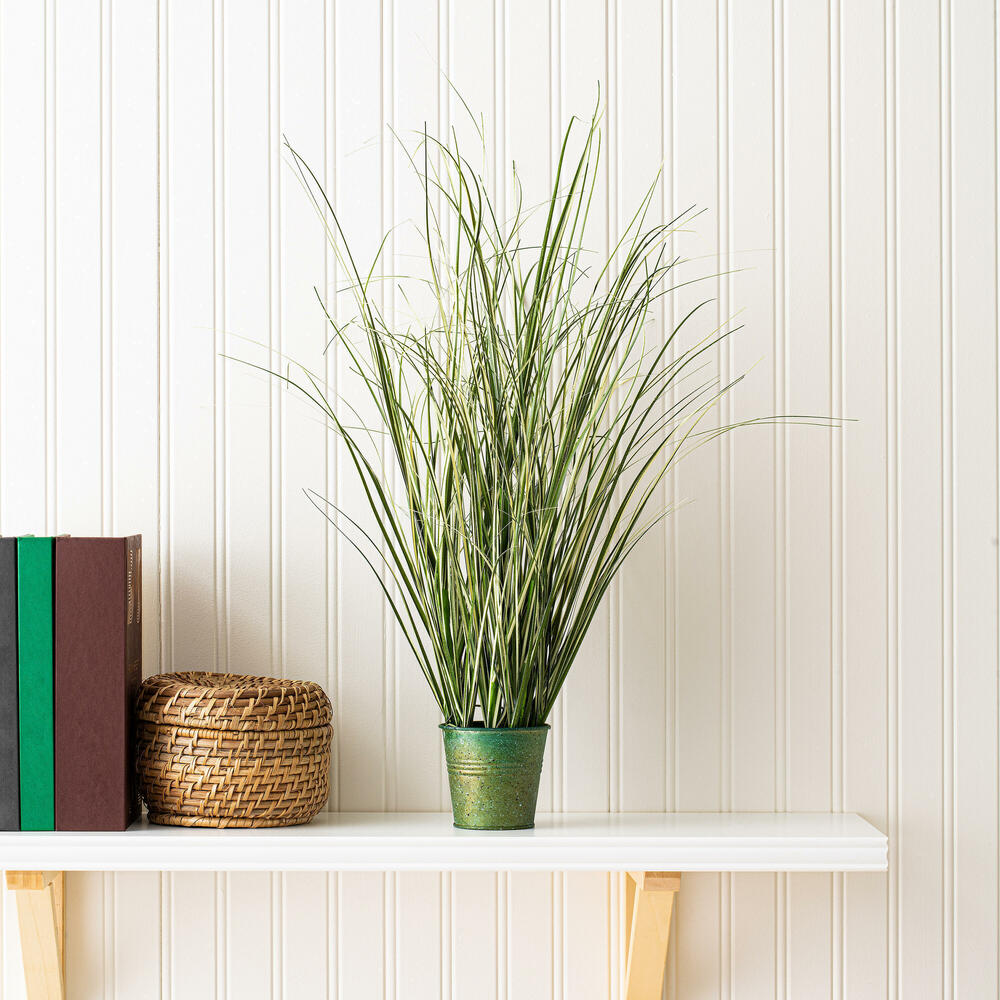 TD190524 - Native Grass Everyday Grass | Vickerman