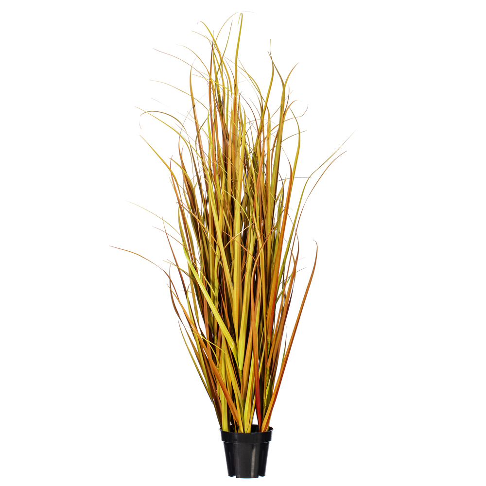 TN170836 - Grass Everyday Grass | Vickerman