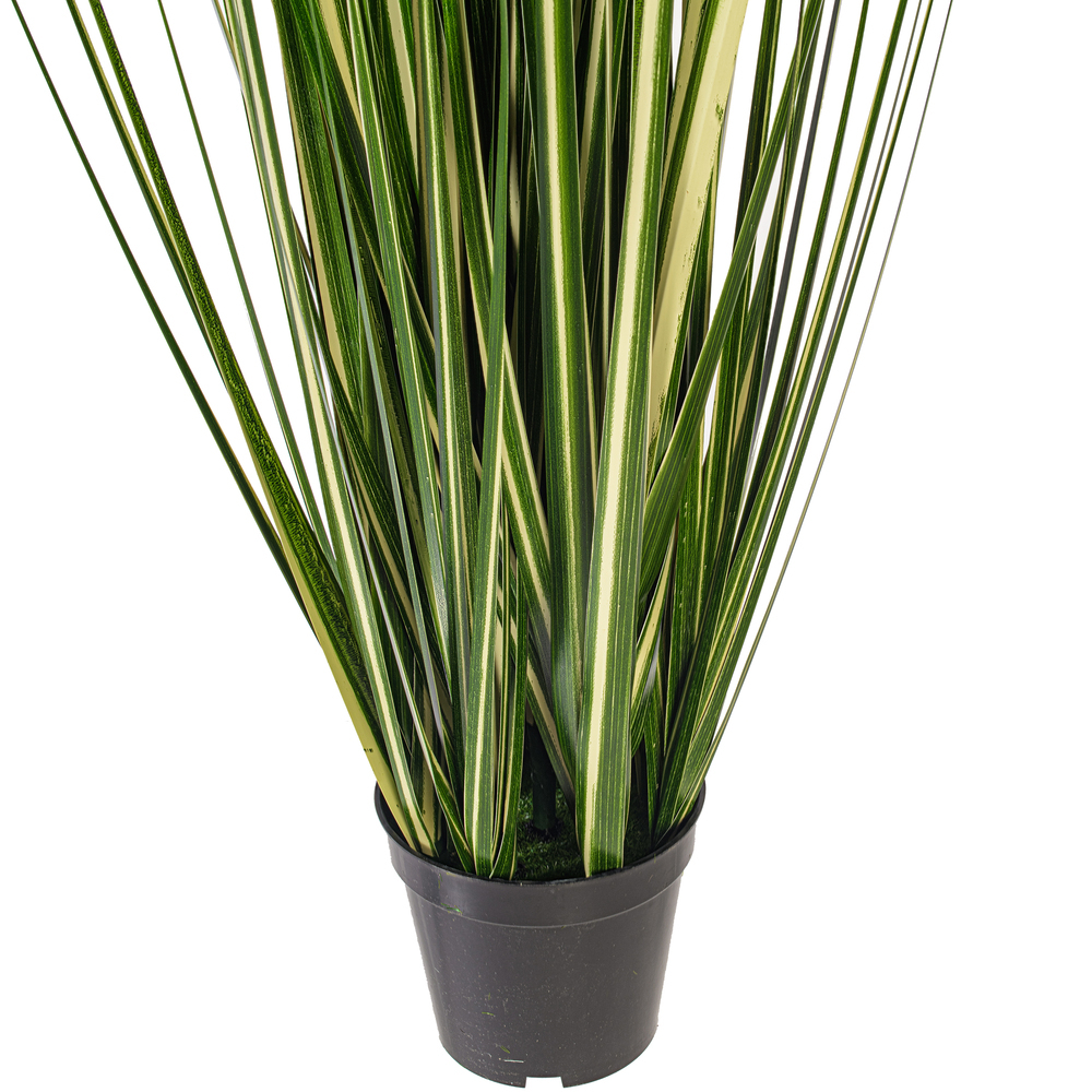 TN251136UV - TN25113 Everyday Grass | Vickerman