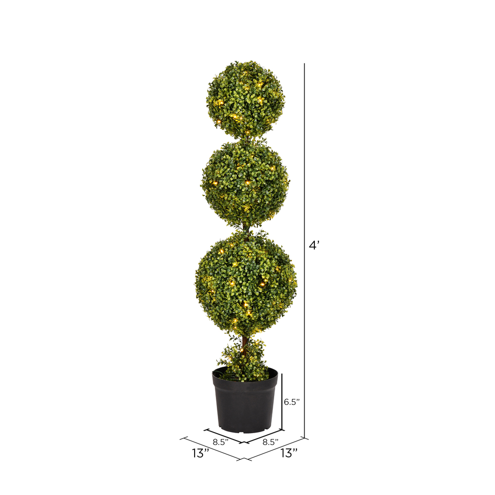 TP170748 - Boxwood Everyday Topiary | Vickerman