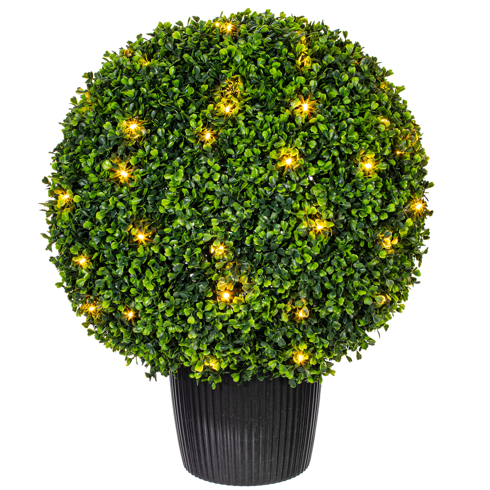 TP171320 - Boxwood Everyday Topiary | Vickerman