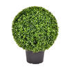 Photograph of 20" Boxwood Ball In Pot UV