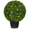 Photograph of 24" Boxwood Ball in Pot UV 100WW LED
