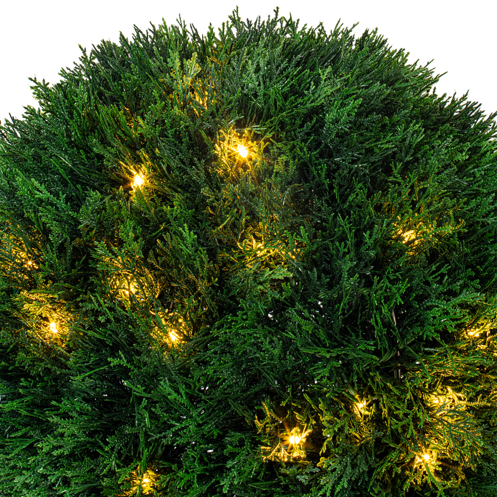 TP171420 - Cedar Everyday Topiary | Vickerman
