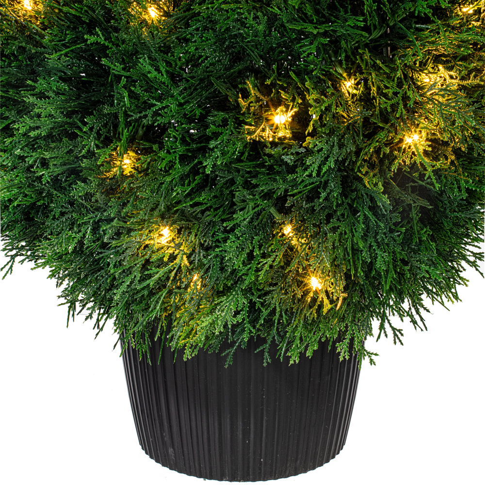 TP171420 - Cedar Everyday Topiary | Vickerman