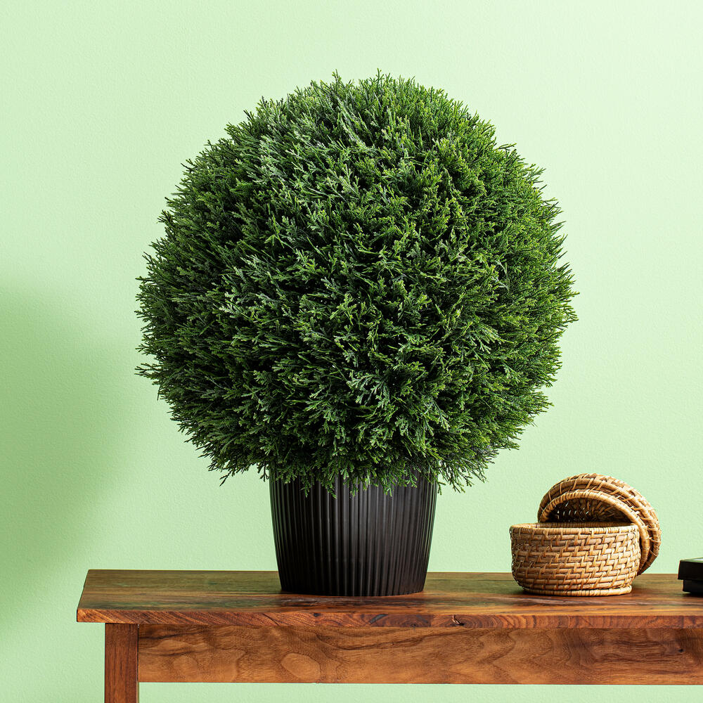 TP171424 - Cedar Everyday Topiary | Vickerman