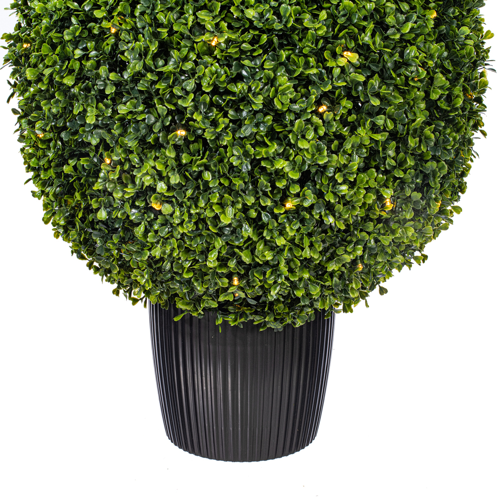 TP171536 - Boxwood Everyday Topiary | Vickerman