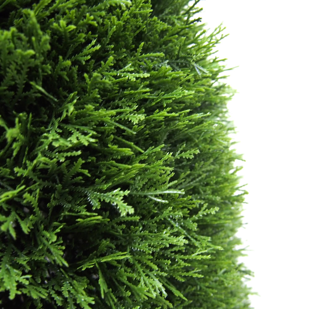 TP171636 - Cedar Everyday Topiary | Vickerman