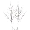 Photograph of 30" White Birch Branch LED40WW B/O 2/Box