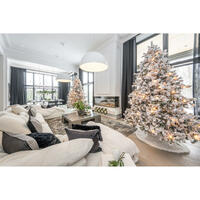 Picture of Tasha Claxton Home Interior