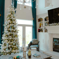 Picture of Baby Blue Champaign Tree