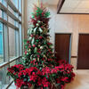 Cheerful Tradition