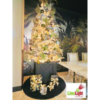 Picture of Tropical Christmas