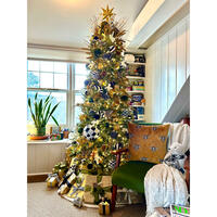 Picture of Elevating Deck the Halls