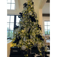 Picture of Christmas with Chanel