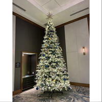 Picture of Midnight at the Westin