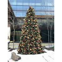 Picture of Grand Teton Holiday