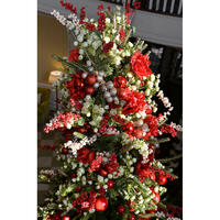 Picture of Edgeworth Club Christmas