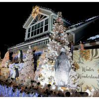 Picture of A Winter Wonderland