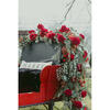 Elegant Sleigh Ride