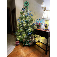 Picture of Blue Villa for Winfield Farms Manor