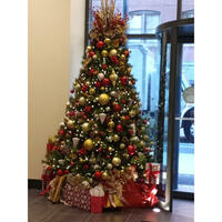 Picture of Chicagoland Christmas