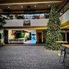 Emeralds of Christmas