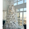 Classic White Spruce