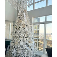 Picture of Classic White Spruce