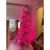 Candyland Christmas