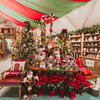 Visions of Christmas