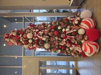 Picture of Peppermint Candyland 