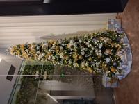 Picture of Embarcadero