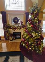 Picture of Pinot Noir