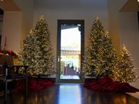 Picture of Stacy Del Zotto Christmas Residential Install