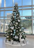 Picture of The Icelandic Collection