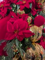 Picture of Comfort & Joy