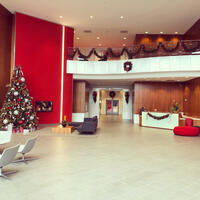 Picture of Reindeer Glitz
