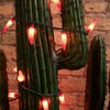 Desert Decor