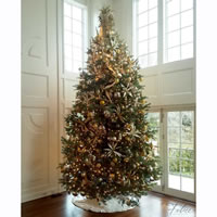 Picture of Golden Christmas