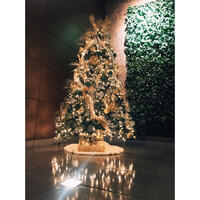 Picture of Whimsey Christmas