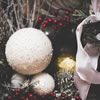 Winter Berry