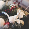 Winter Berry