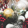 Winter Berry