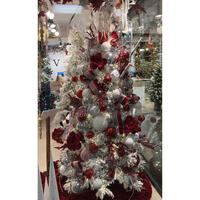 Picture of Winterberry