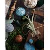 The Big Christmas Trends