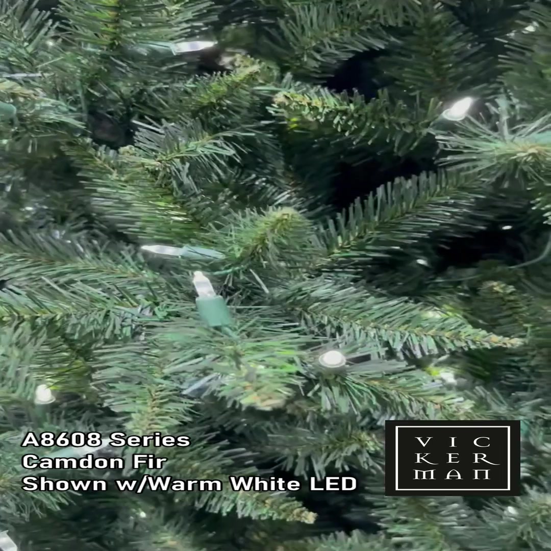 A860885 - Camdon Fir Christmas Tree | Vickerman
