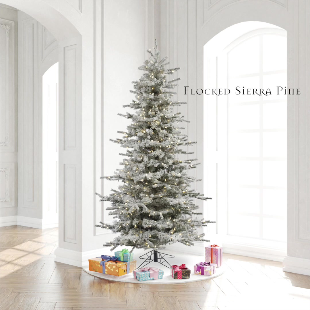A862080 - Flocked Sierra Fir Christmas Tree | Vickerman