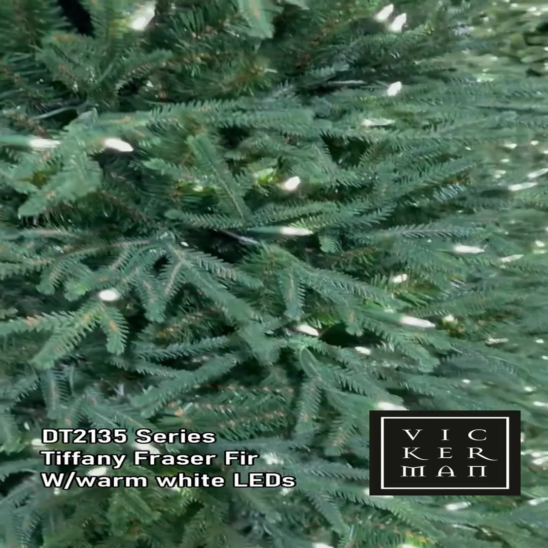 DT213578LEDCC - Tiffany Frasier Fir Christmas Tree | Vickerman