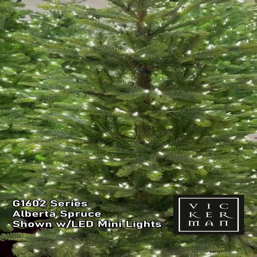 G160275 - Alberta Spruce Christmas Tree | Vickerman